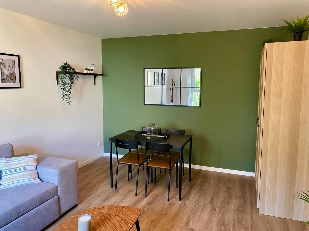 Dijon - Appartement Darcy / Gare ภายนอก รูปภาพ